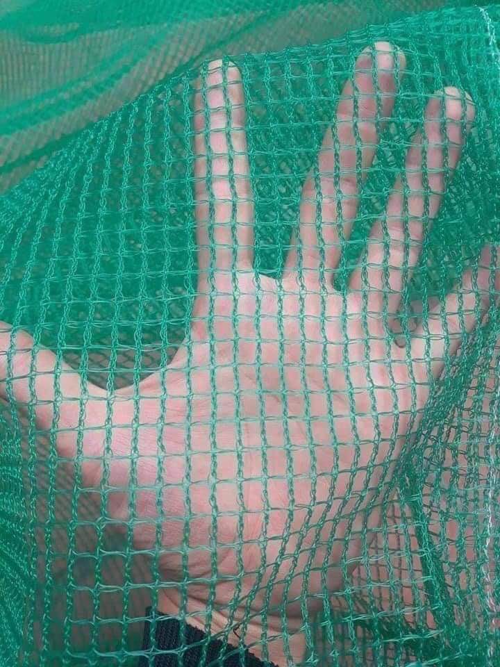 Túi đựng cá bằng chã chất lượng