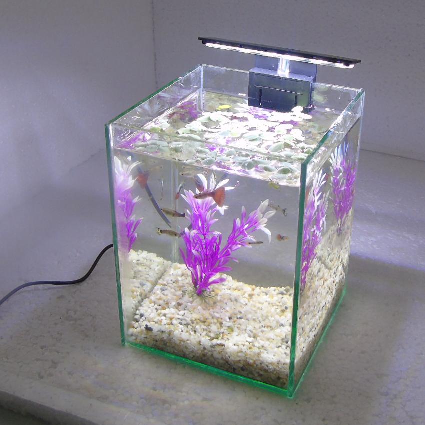 Bể cá mini để bàn 15x15x20cm + Đèn