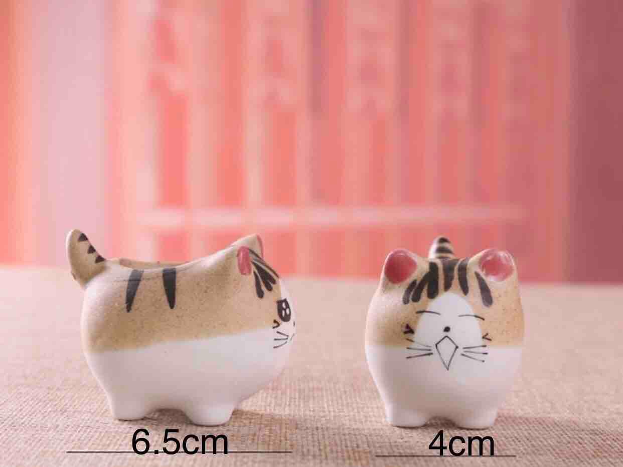 Set 5 chậu mèo trồng cây trang trí
