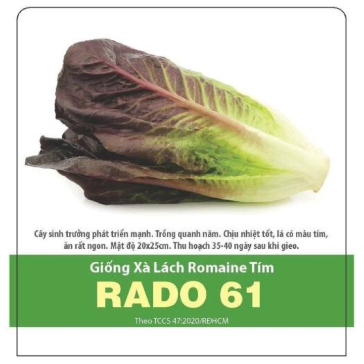 Xà lách Romaine tím