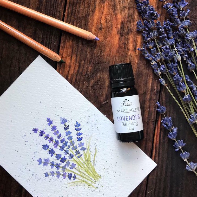 Tinh dầu Lavender (oải hương)