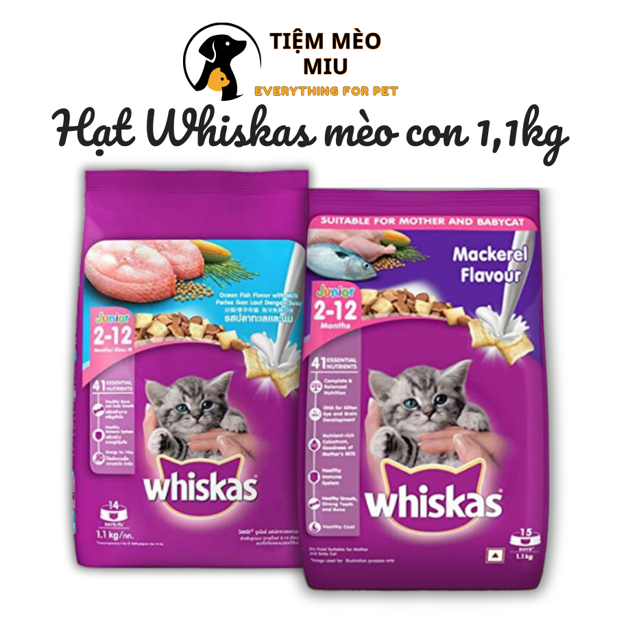 Thức ăn hạt whiskas cho mèo con 1.1kg và mèo trưởng thành