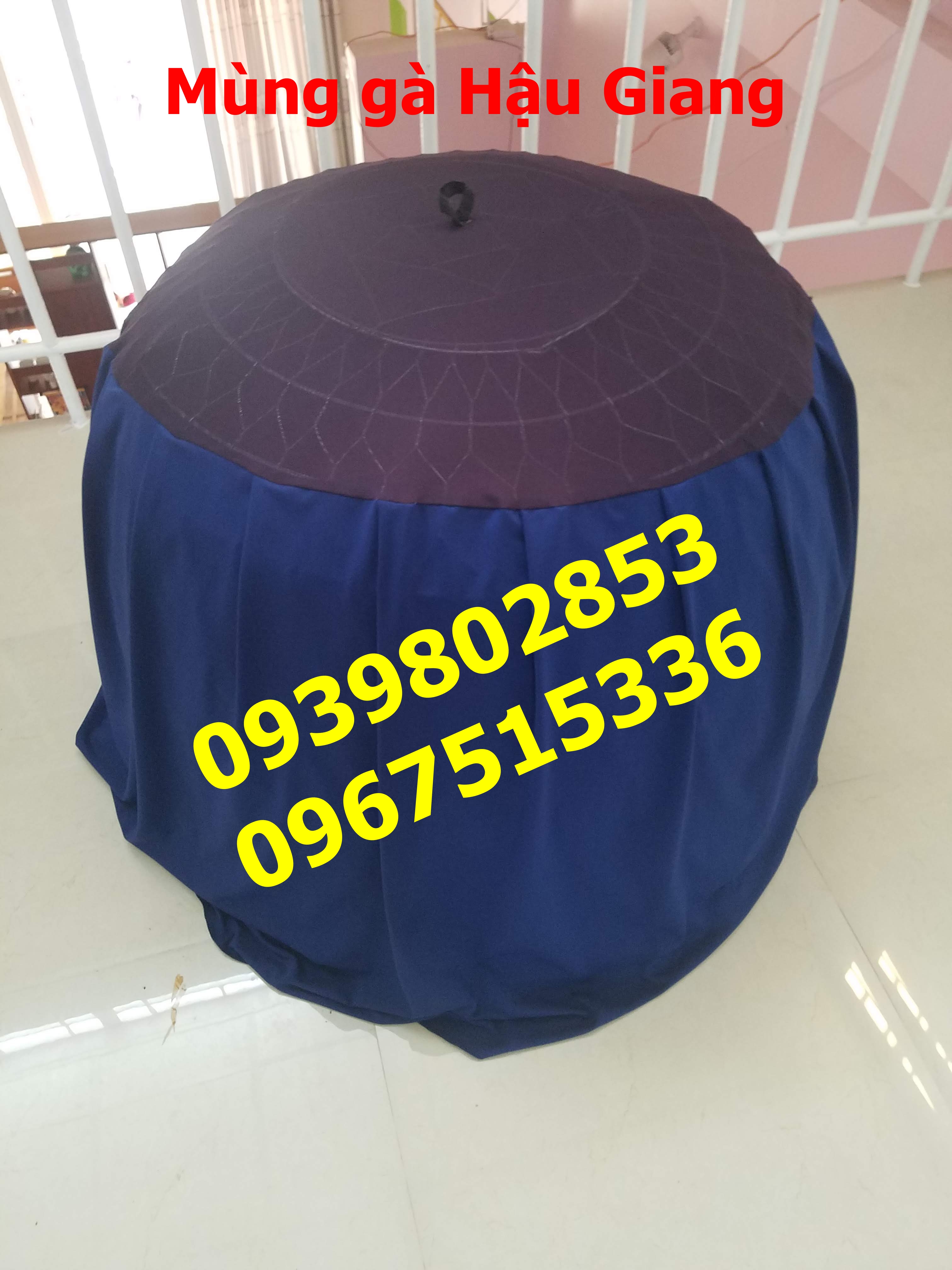 10 mùng gà nòi 1.2m to