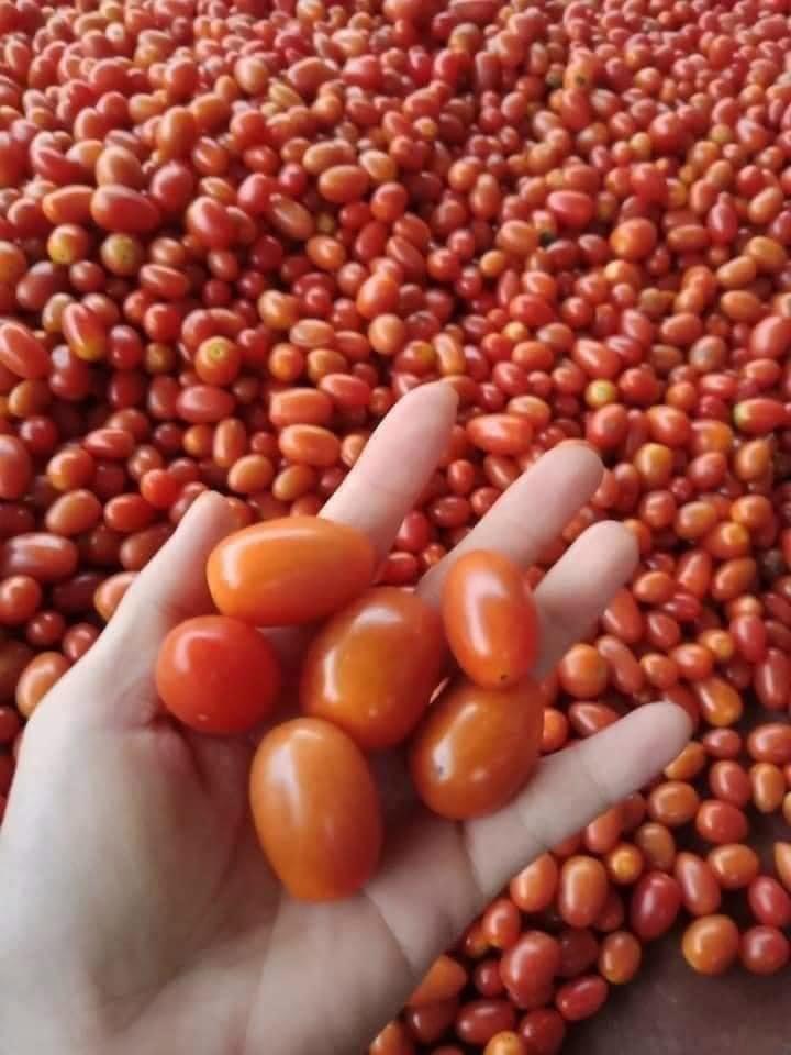 MỨT CÀ CHUA BI [ NGON KHÓ CƯỠNG ]  HỦ 350G