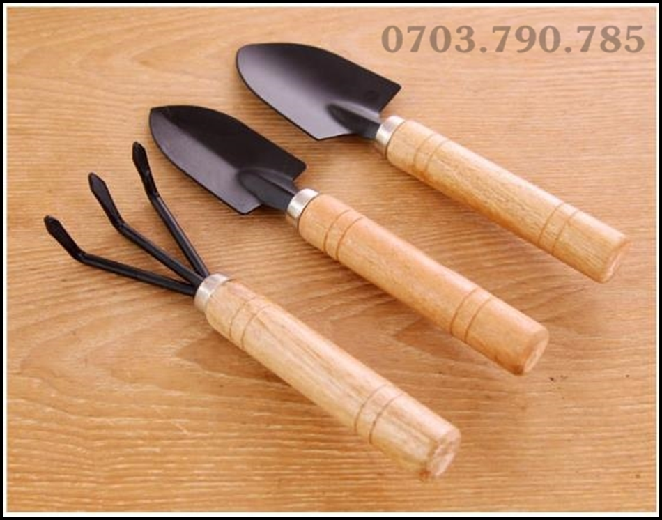 [HCM]Bộ Dụng Cụ Làm Vườn 3 Món