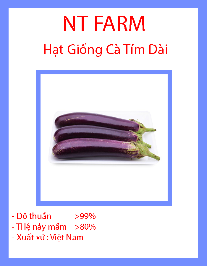 Hạt Giống Cà Tím Dài F1