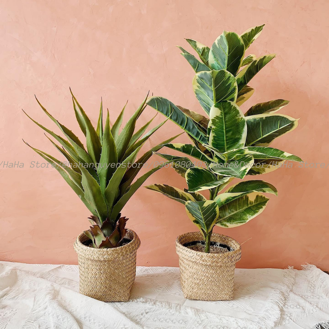 Thúng cói Decor Giỏ Cói Trồng cây GCD02