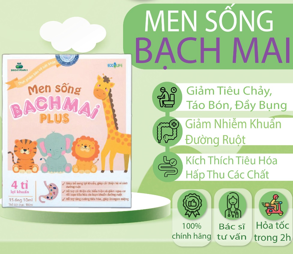 Men sống bạch mai plus (Gold New Plus thế hệ mới)