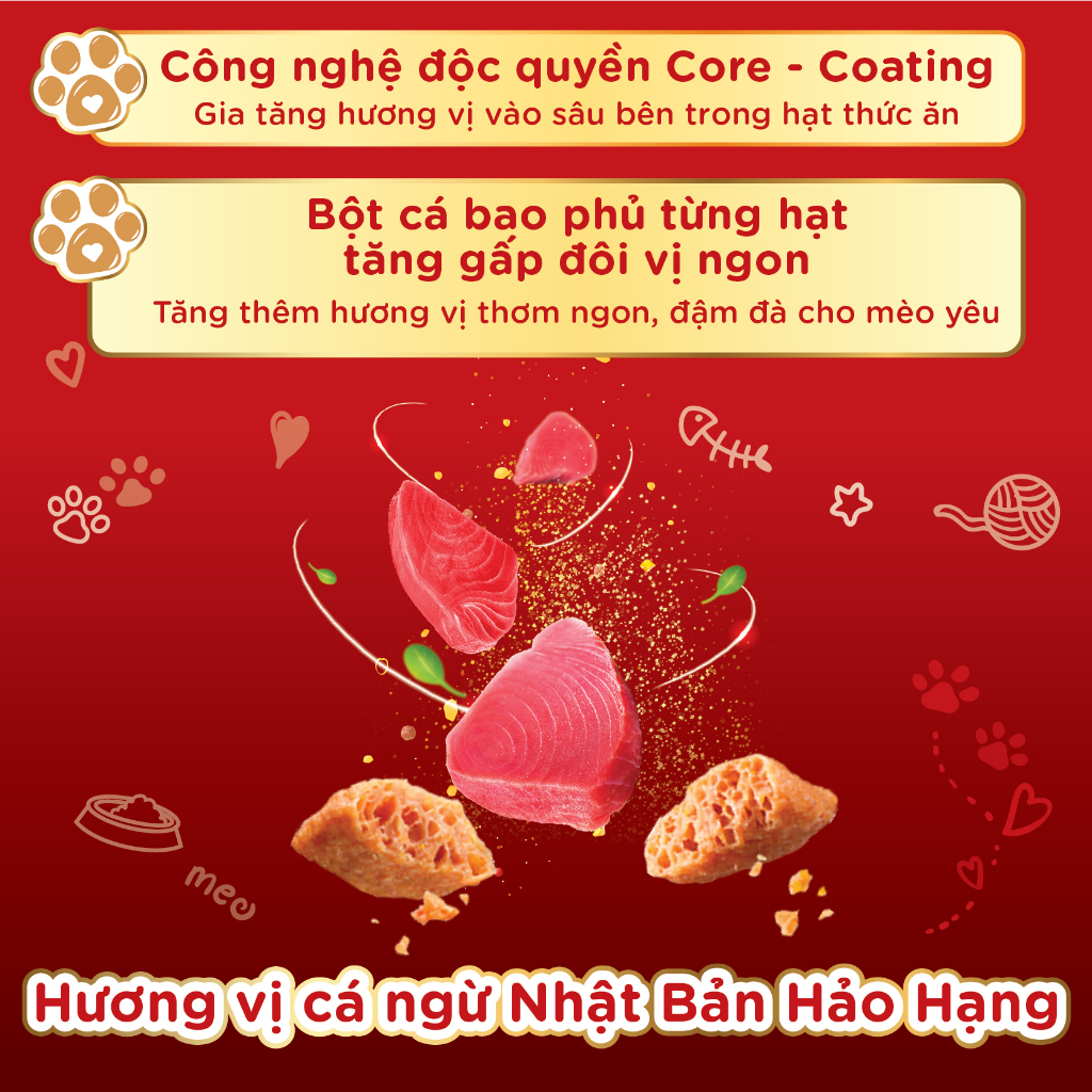 Hạt dùng thử cho mèo Silver Spoon 40g