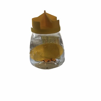 combo bẫy ruồi vàng và côn trùng sinh học