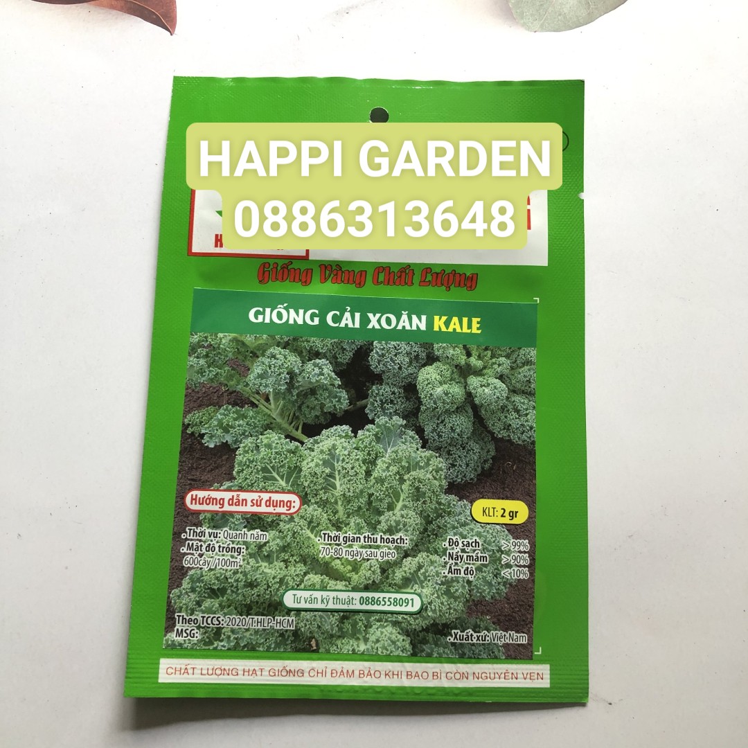 Hạt giống cải xoăn KALE gói 2gr