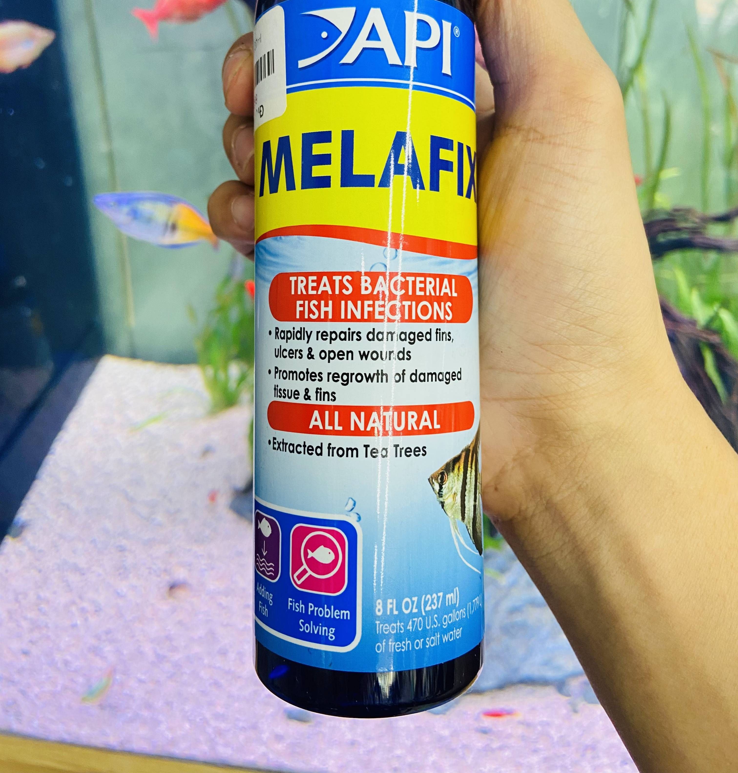 Chế Phẩm Cao Cấp Kháng Khuẩn - Diệt Nấm CHO CÁ API MELAFIX 237ml