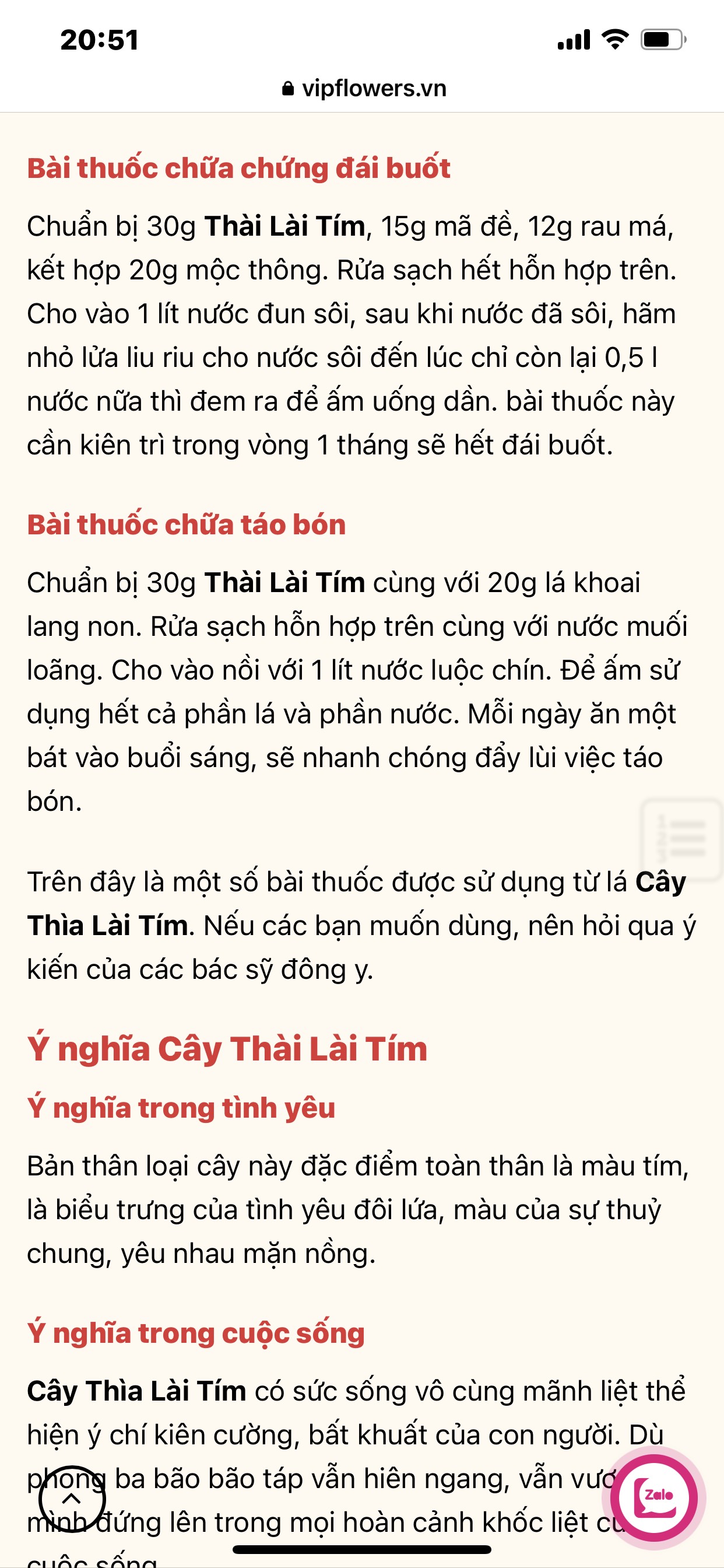 Cây Thài Lài tím (Cây Hồng Trai)