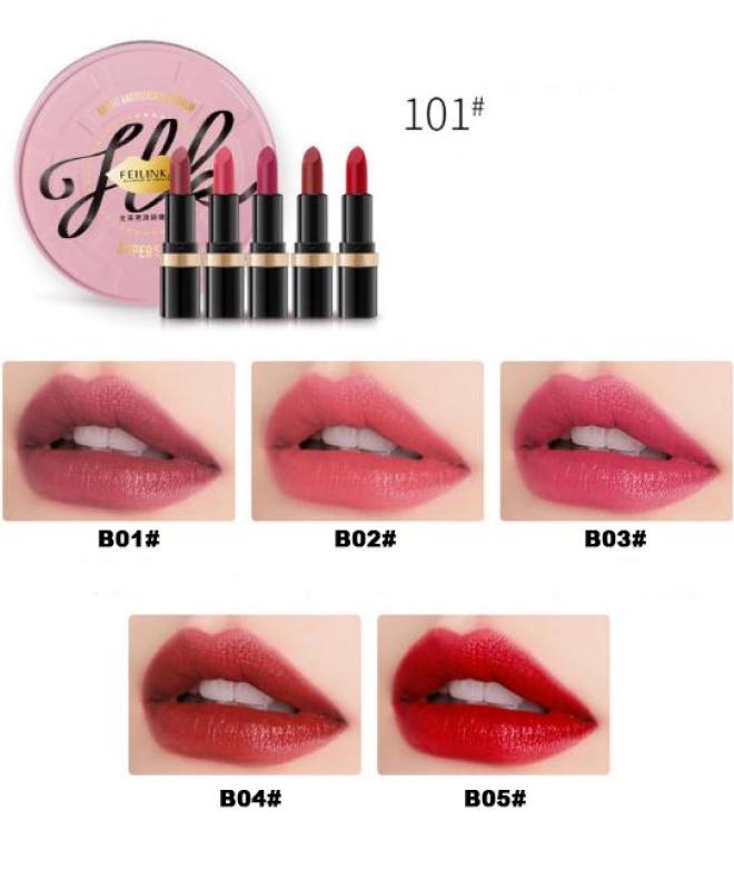 Son lì FEILINKA mini set 5 thỏi với 2 tone màu sành điệu trẻ trung- quyến rũ