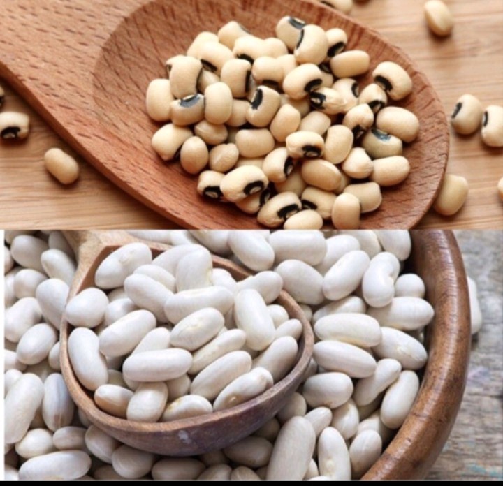 500gr đậu trắng bi