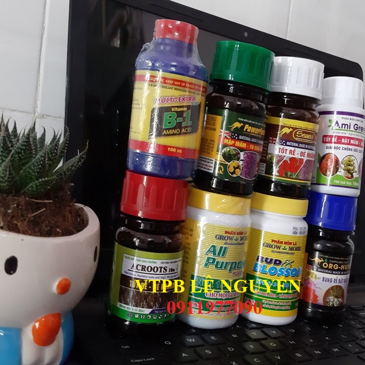 COMBO 8 Loại Phân Bón Dành Cho Người Mới Chơi Lan