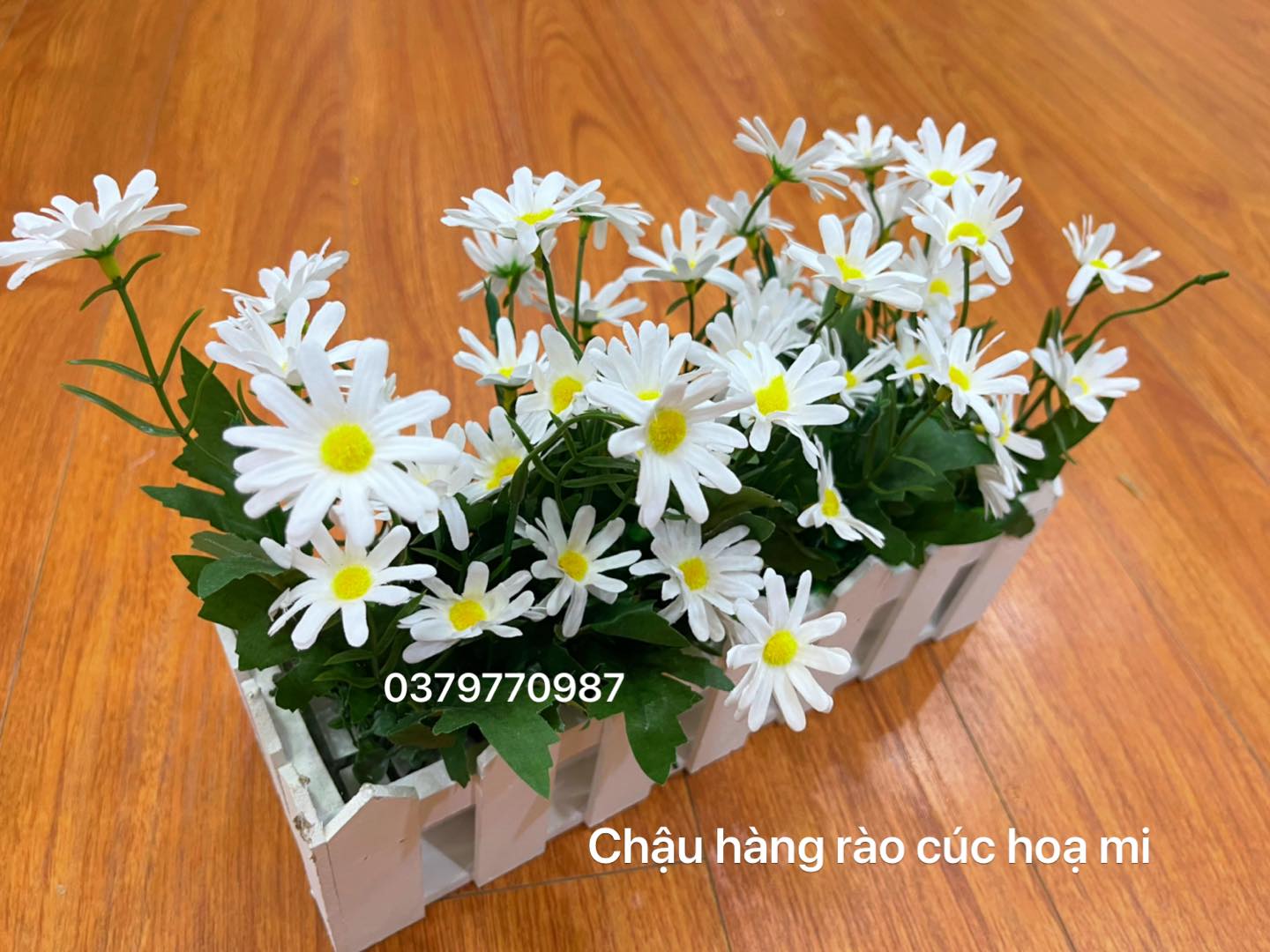 Chậu hàng rào hoa trang trí