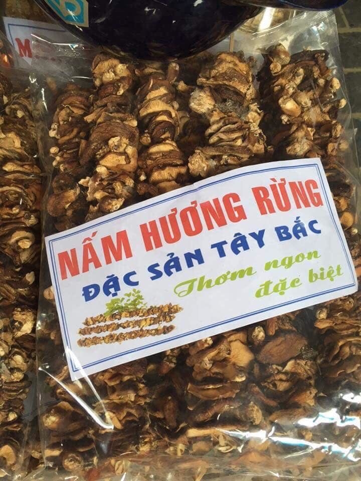 250gr NẤM HƯƠNG RỪNG TÂY BẮC - nấm to và rất thơm