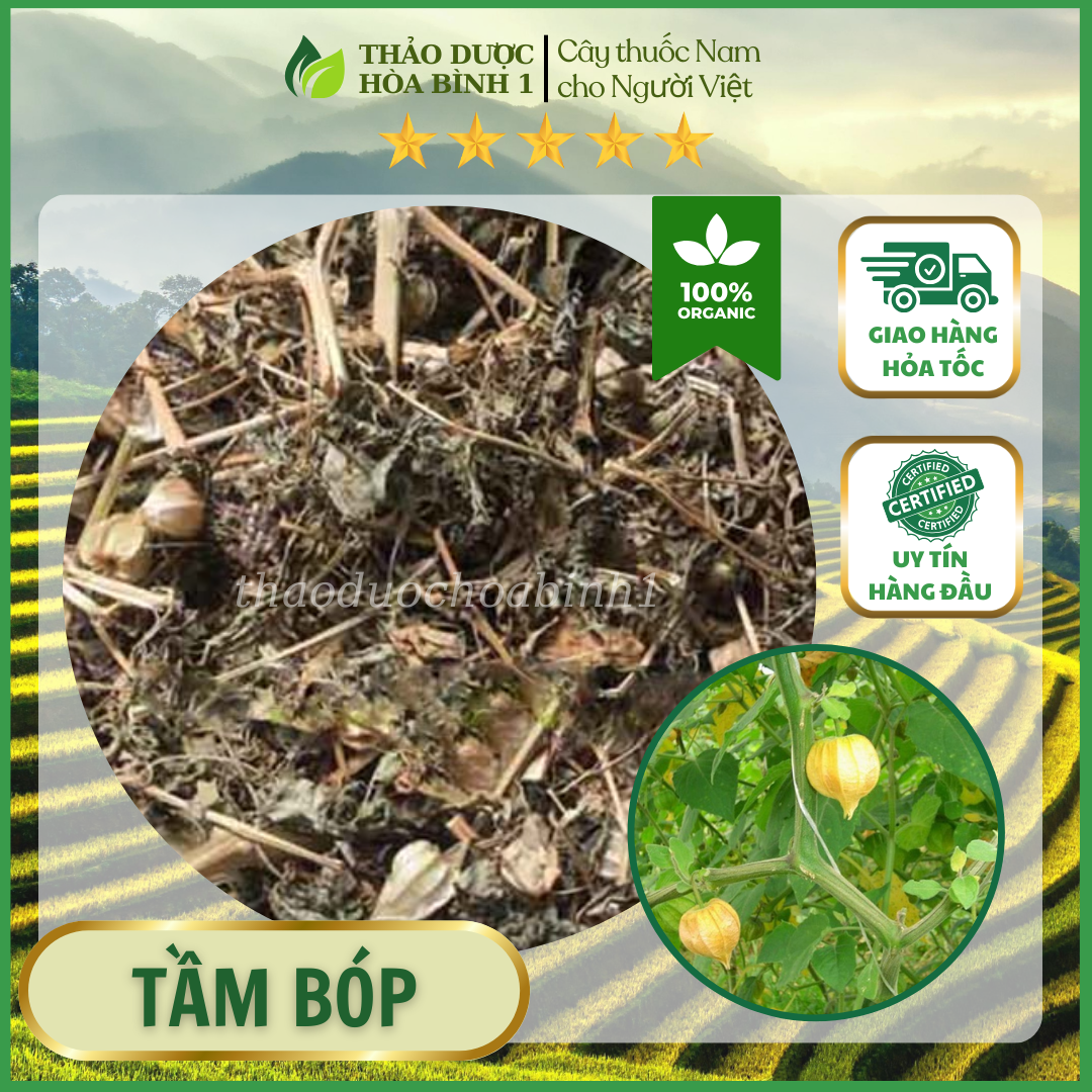500gr cây tầm bóp khô