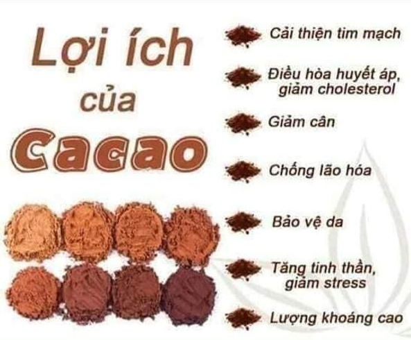 500gram Bột Ca Cao Nguyên Chất