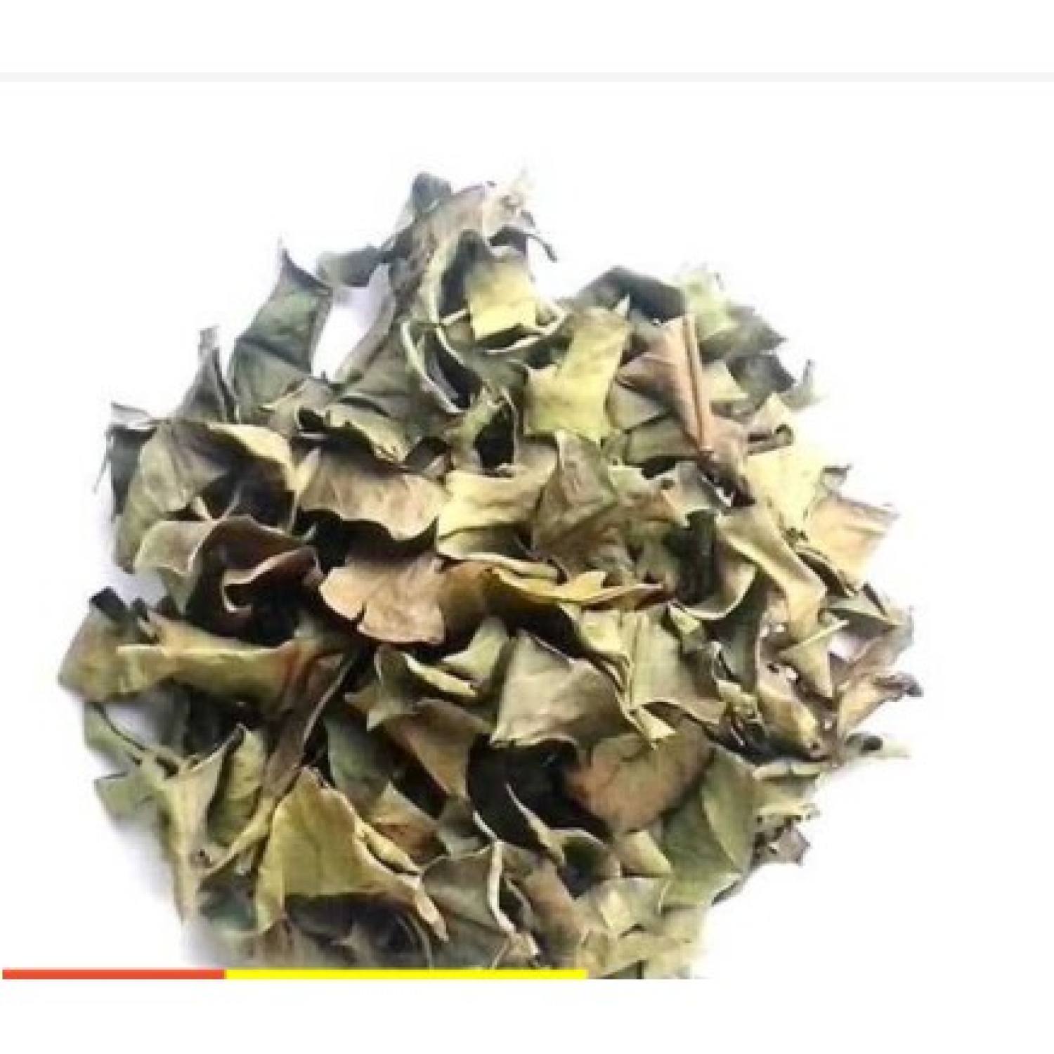 500gr lá vối khô hàng mới thơm ngon