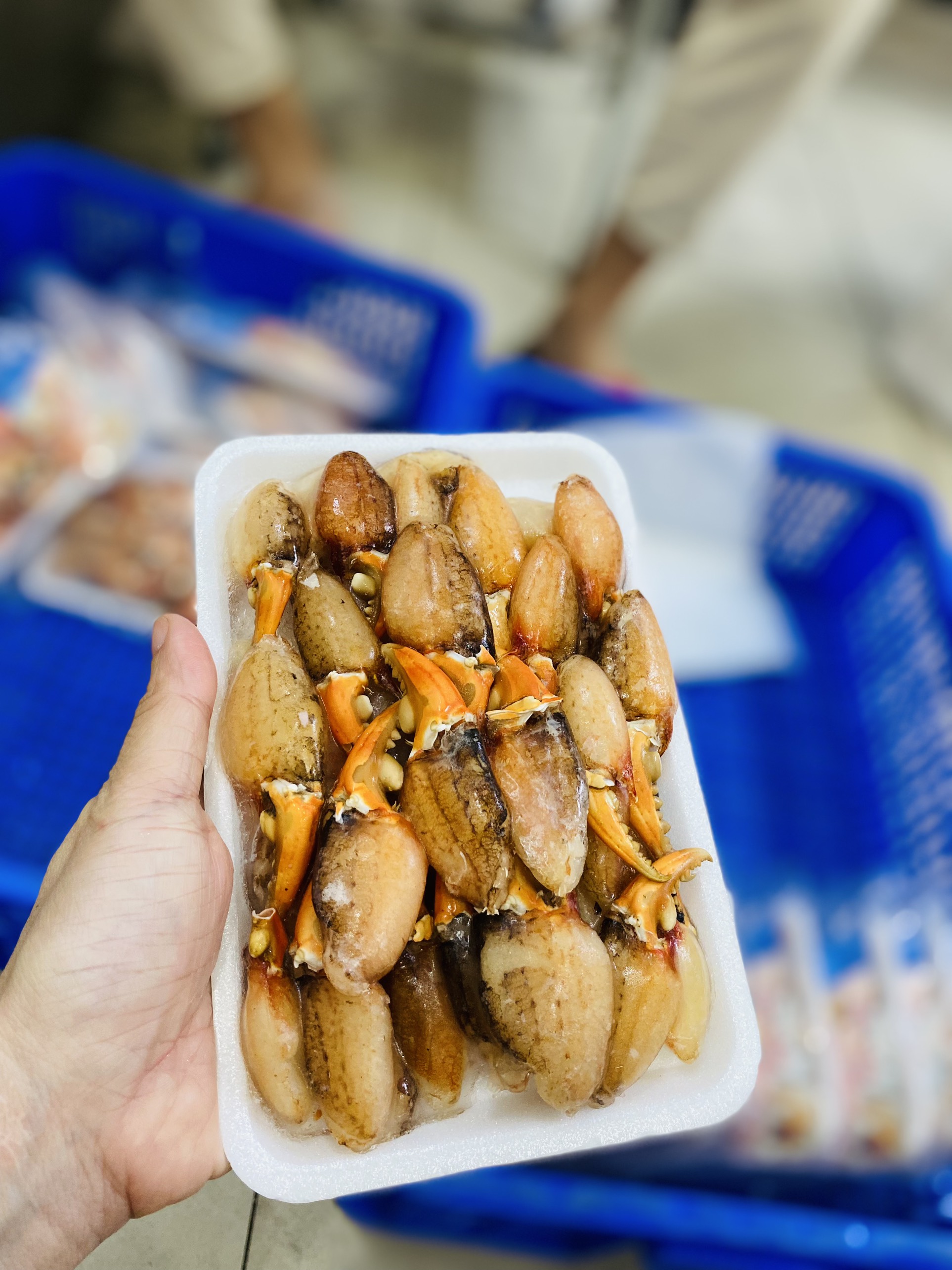 Thịt Càng Cua - Đã bóc sẵn - Hải Sản Kỳ Hà
