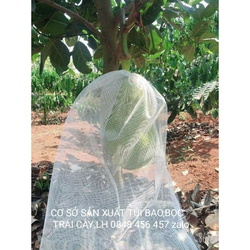 COMBO 50 CÁI TÚI BỌC MÍT LOẠI 50*70