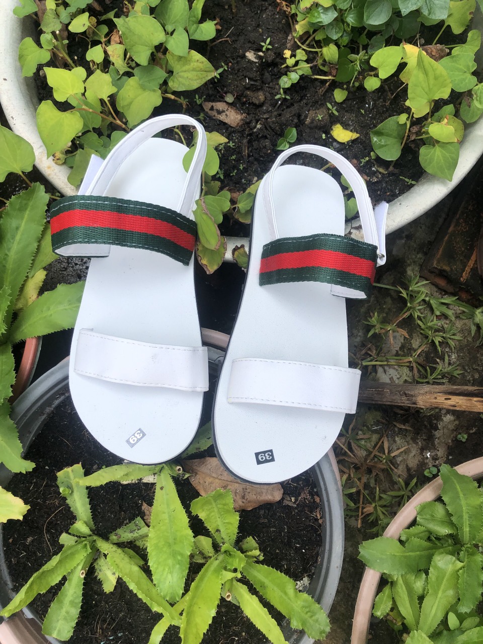 sandal chíp chíp quai hậu dù nam và nữ (size từ 34 nữ đến 43 nam)