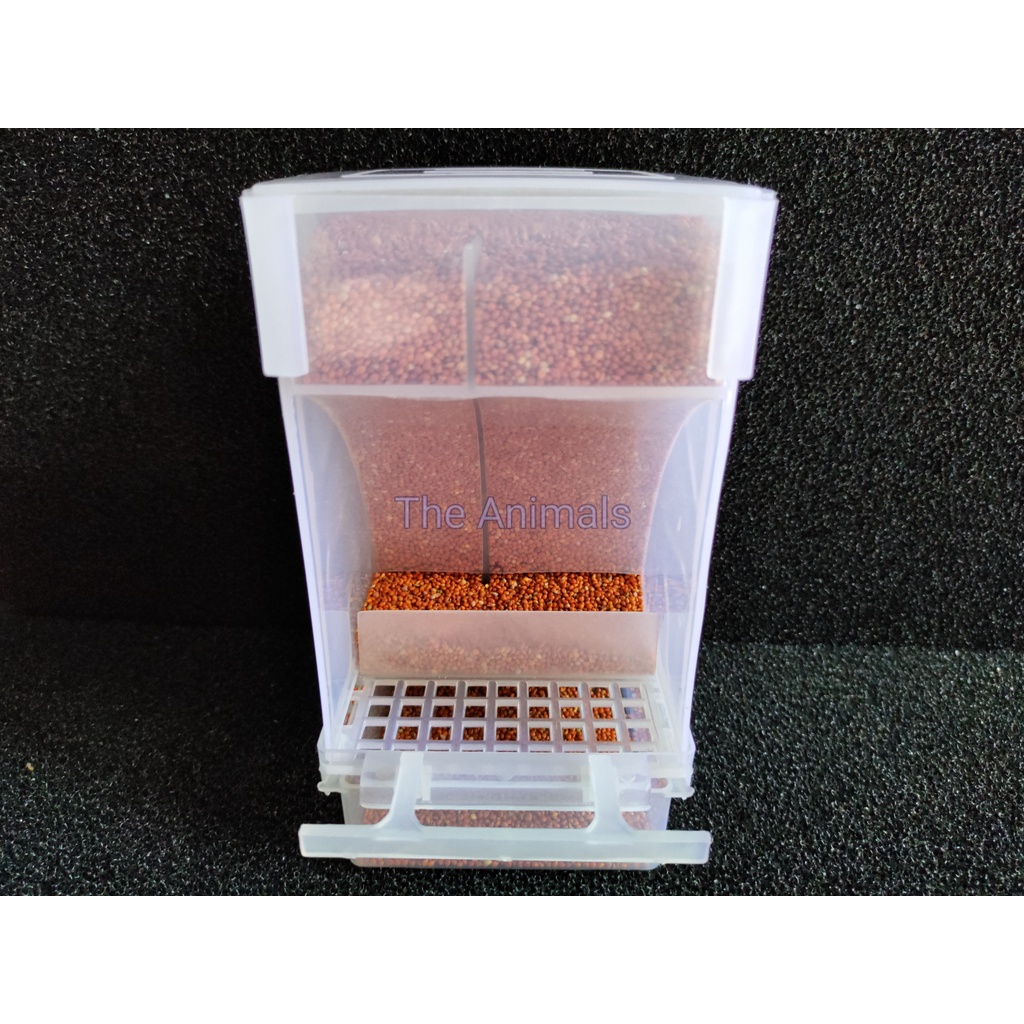 Hộp đựng thức ăn tự động cho chim cảnh