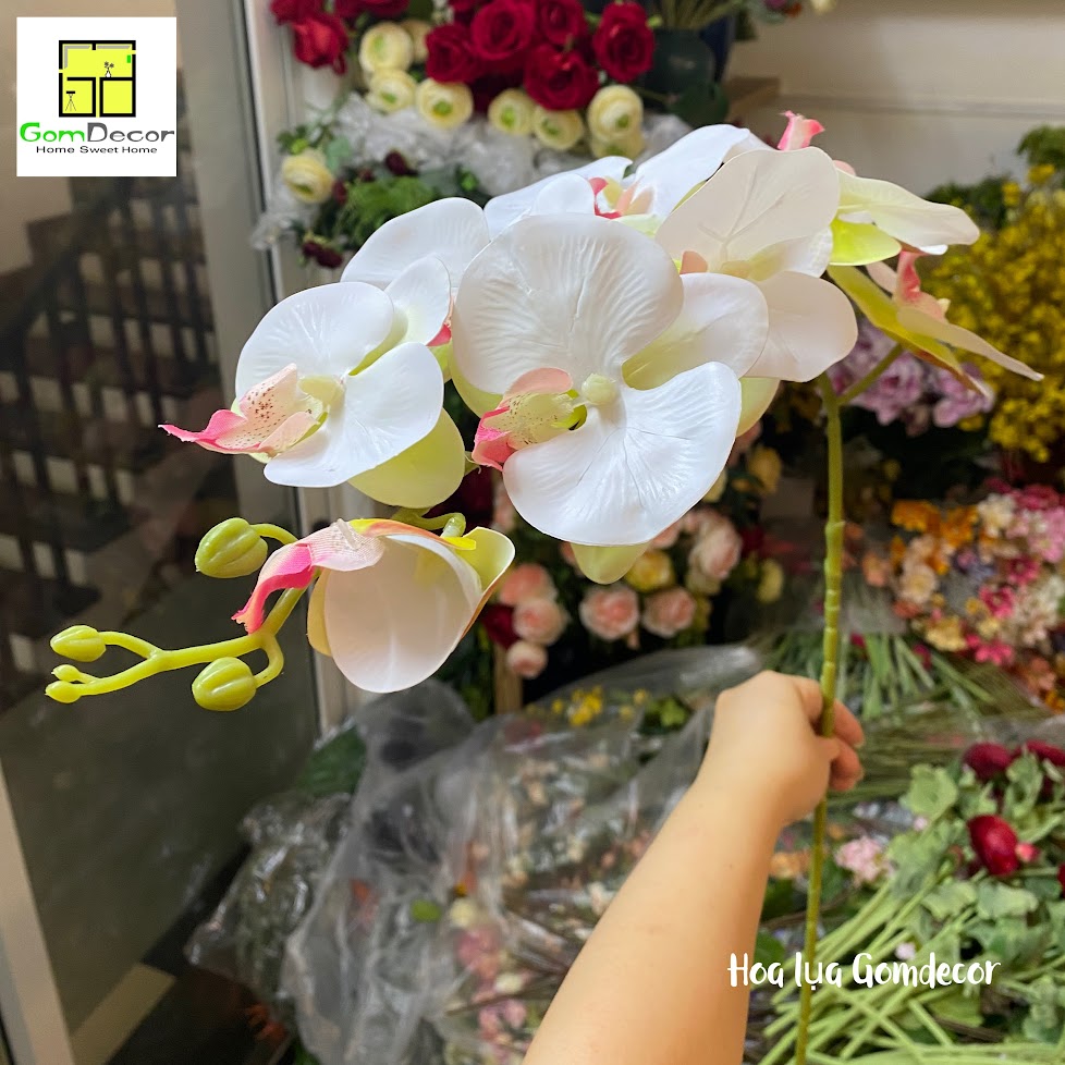 Hoa lan cao su lan hồ điệp giả hoa lụa cao cấp