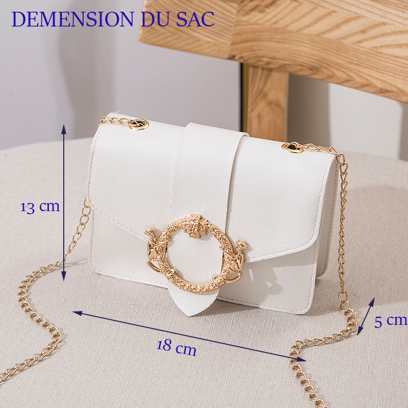 [HCM]Túi Đeo Chéo Nữ Da Mềm T47 Màu Trắng