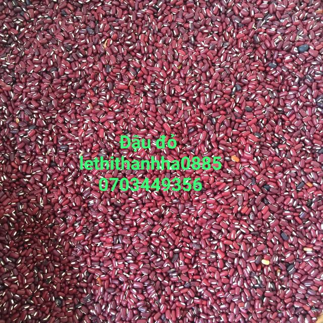 1kg đậu đỏ quê hạt nhỏ