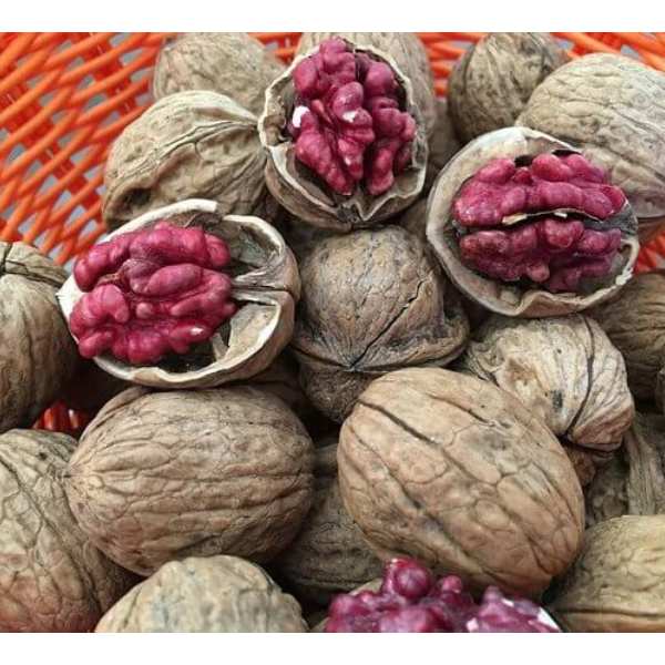 Qủa Óc chó đỏ Mỹ - 1 kg