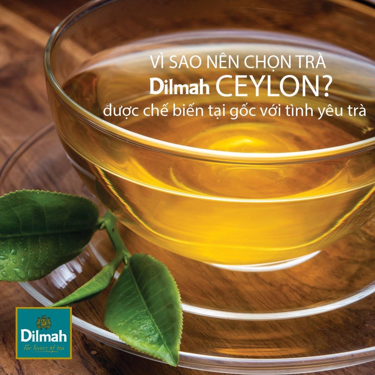 Trà Dilmah Thảo Dược Bạc Hà - Pepermint 30g