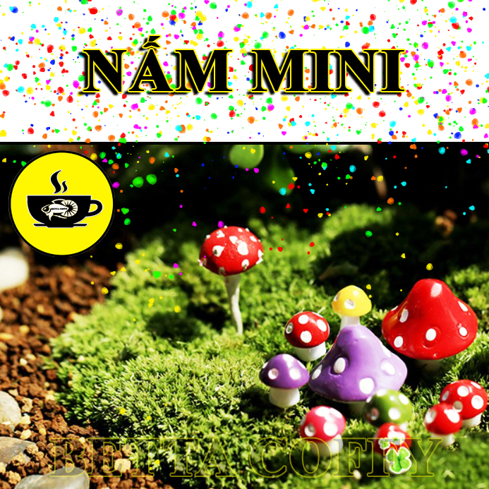 Cây Nấm Mini Dùng trang trí tiểu cảnh sân vườn, terrarium