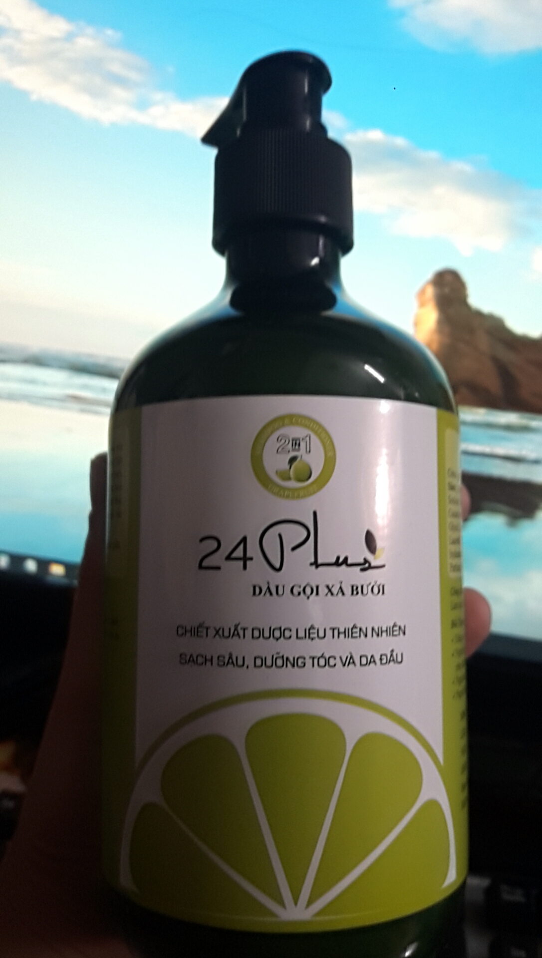 1 CHAI Dầu gội xả bưởi 24 plus
