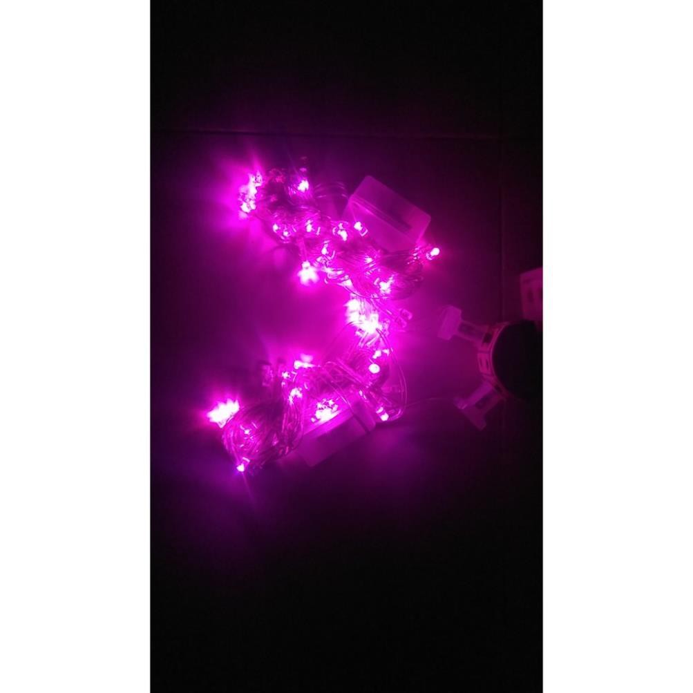 [HCM]Đèn Dây Led Không Nháy 7m Được Chọn Màu