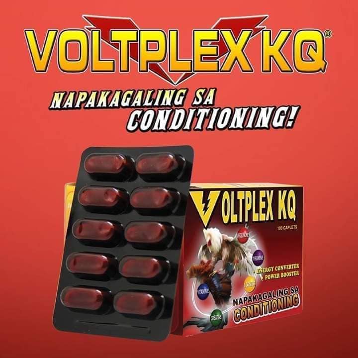 VOLTPLEX KQ ốp gà cho gà đá 1 hộp 10 vĩ
