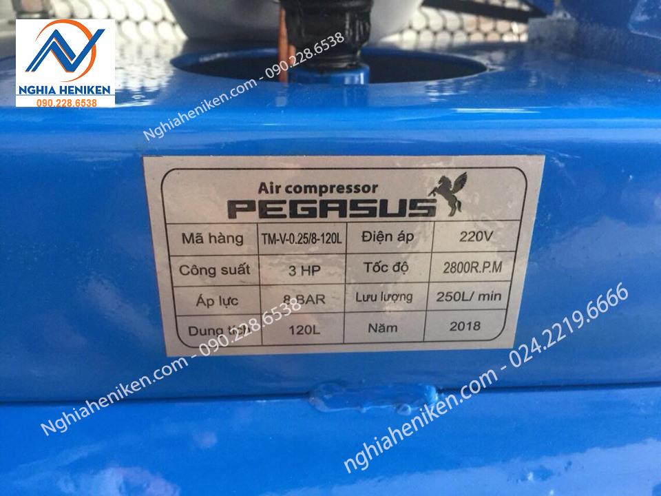 MÁY NÉN KHÍ PEGASUS TM-V-0.25/8-120L