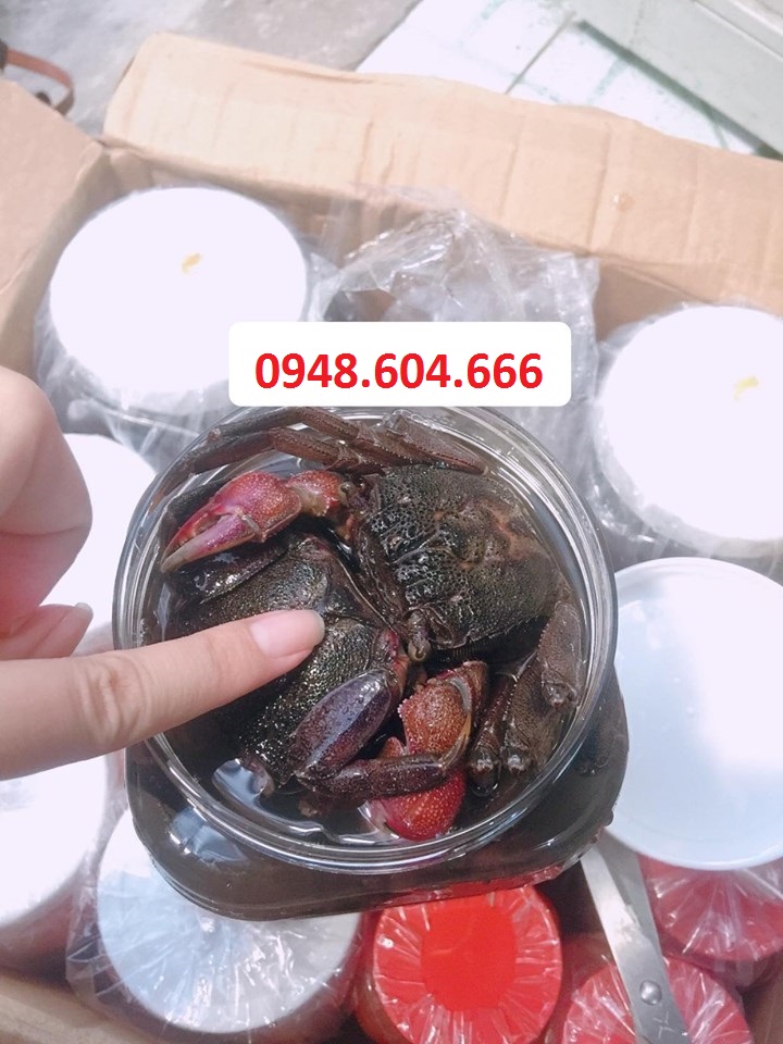 Ba Khía muối Còn Nguyên Con (Cà Mau)