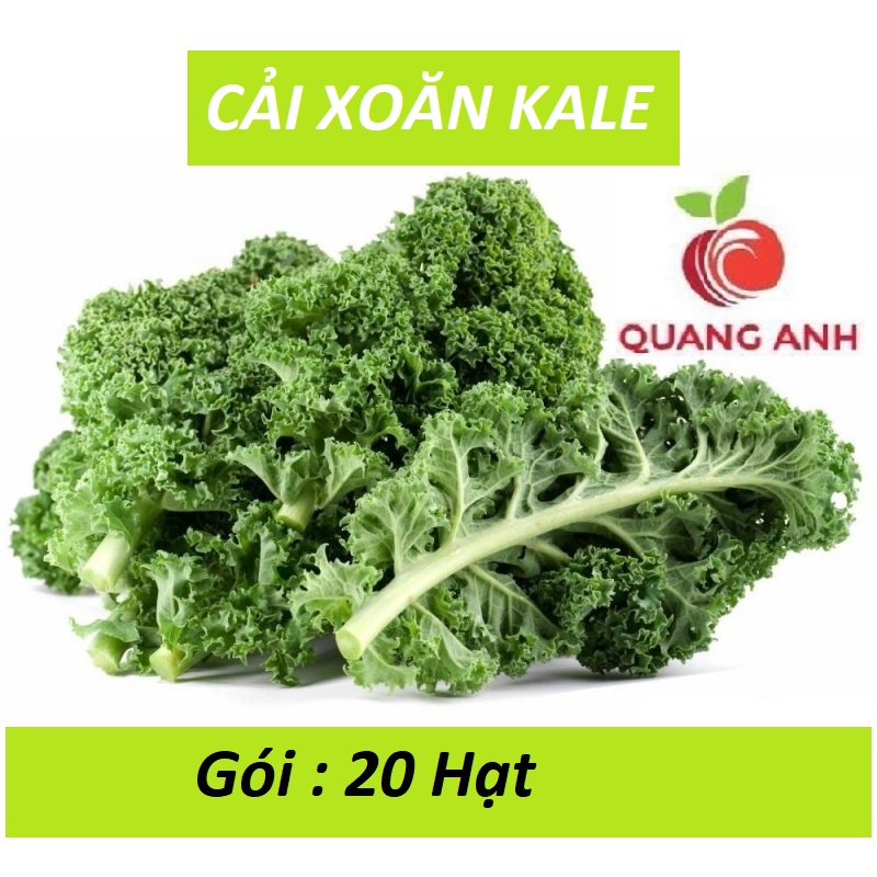 100 hạt giống cải xoăn kale - nhập khẩu mỹ - cải kale xanh ngon