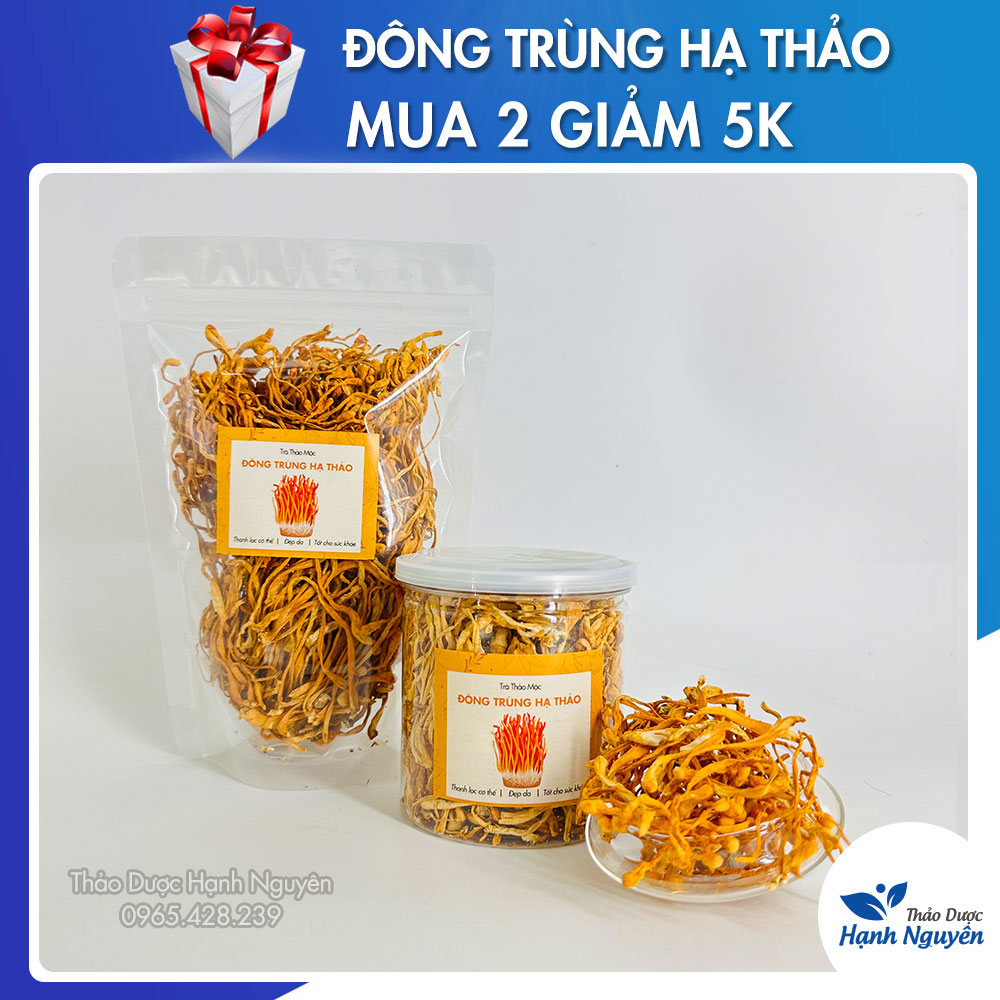 Đông trùng hạ thảo khô 100g (Hàng loại 1, khô, thơm, vàng đẹp) - Thảo Dược Hạnh Nguyên