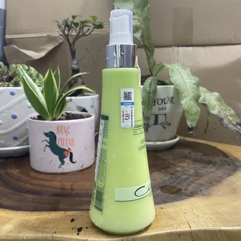 [HCM]Xịt Dưỡng Tóc Chihtsai Olive Colorful 250Ml
