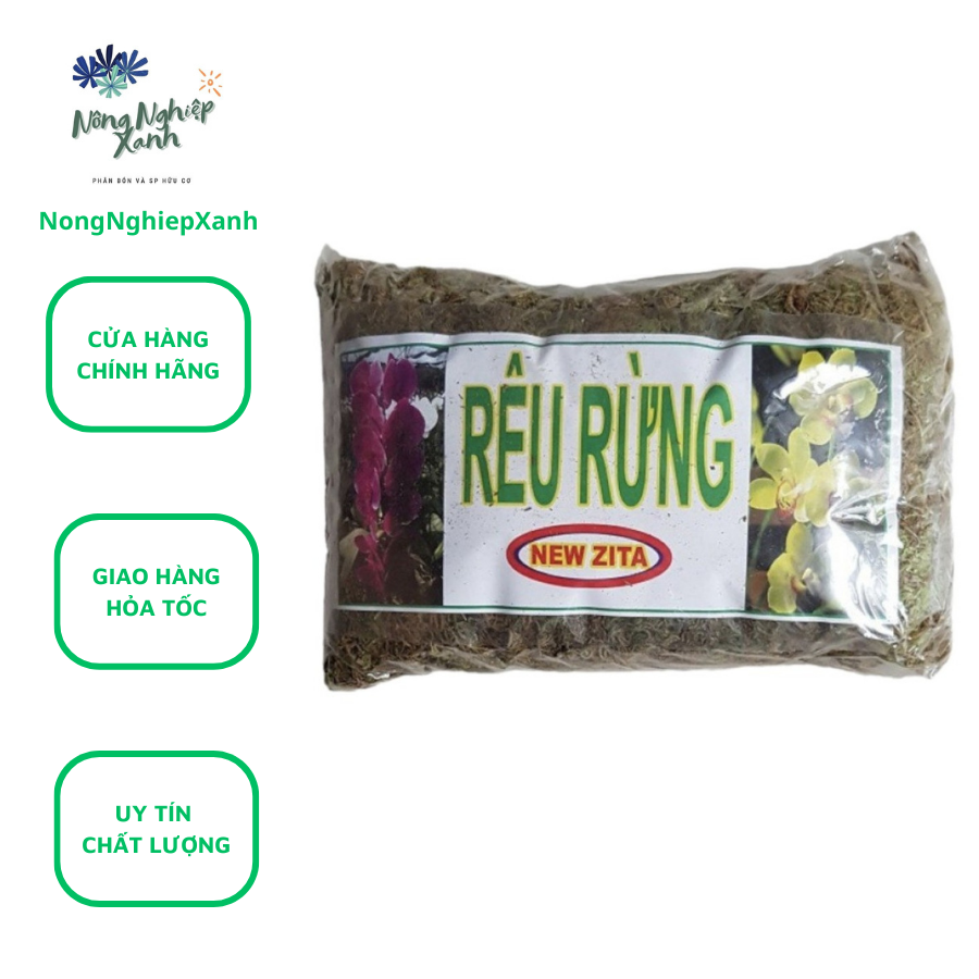 Rêu rừng trồng lan ghép lan
