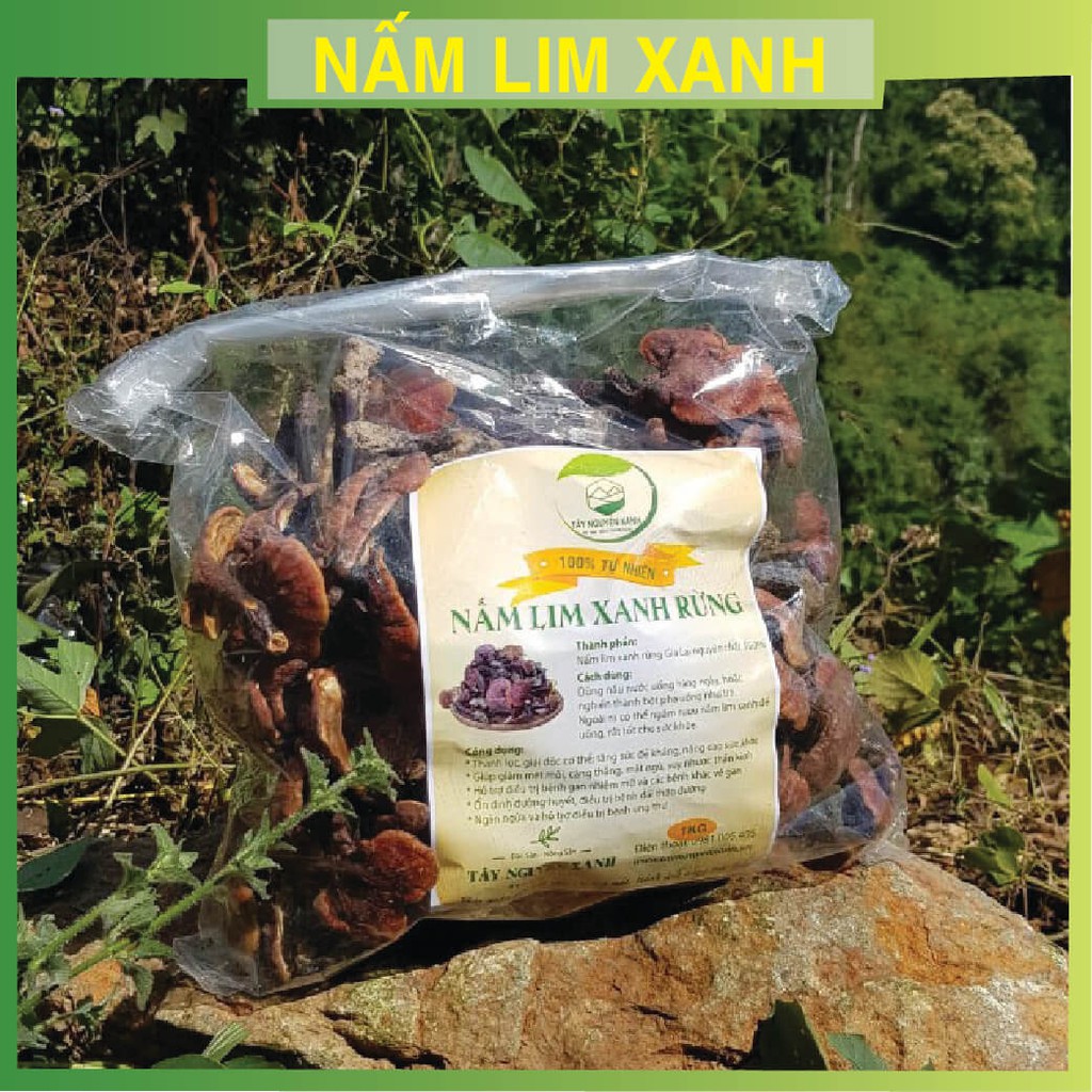Nấm Lim Xanh Rừng Chuẩn 100% (250k/100gram)-100Gram
