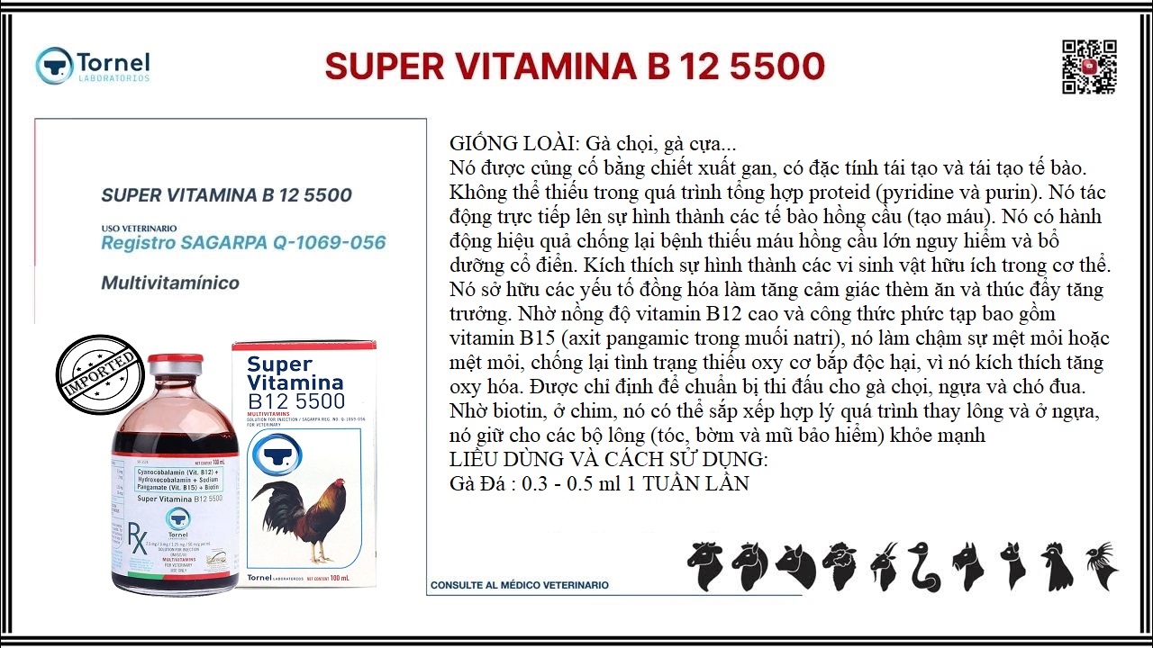 B12 5500 dinh dưỡng cho gà chế độ