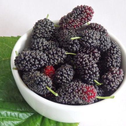 Lá dâu tằm khô 1kg