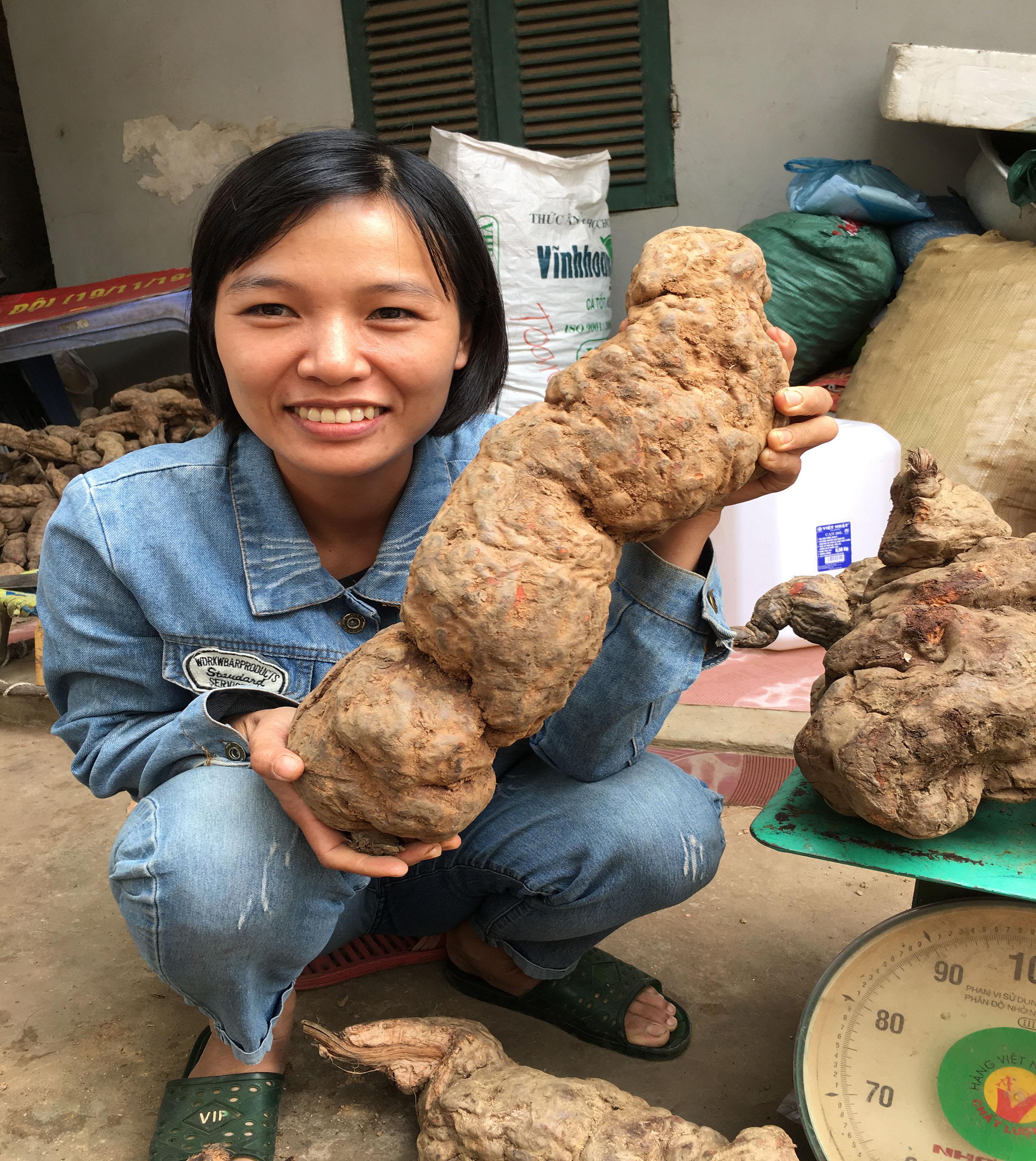 Hà Thủ Ô Đỏ Khô  1Kg