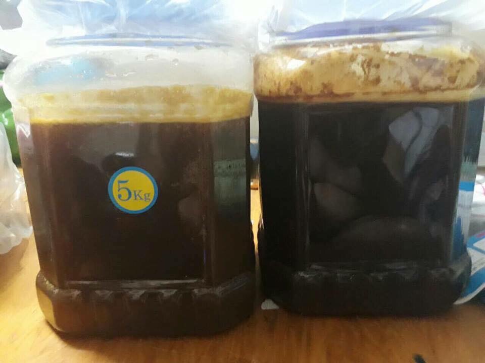 MẬT ONG ĐẮNG MƯỜNG TÈ LAI CHÂU (700k/1 lit :1,3kg)