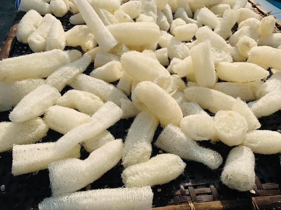 combo 3 bánh xà bông Mướp đắng Sinh Dược
